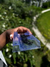 Load image into Gallery viewer, Lashes